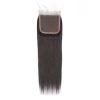 4x4 Lace Closure Straight No Part Brazilian Straight Closure 4 By 4