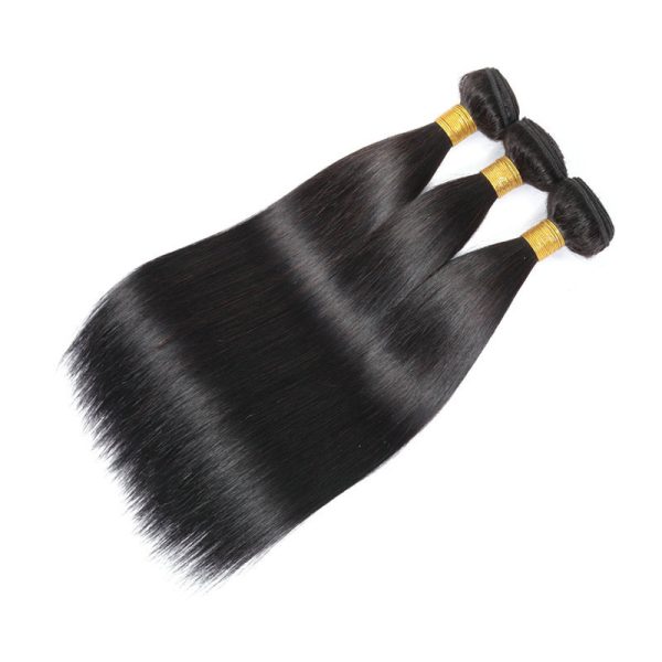 Paquets de cheveux raides 2 cheveux humains droits brésiliens naturels 3 paquets avec frontal 13x4